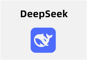 deepSeek在线服务会导致数据泄露吗 deepSeek在线使用与api使用区别