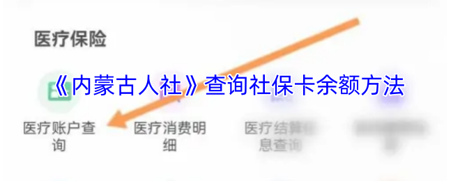 《内蒙古人社》查询社保卡余额方法