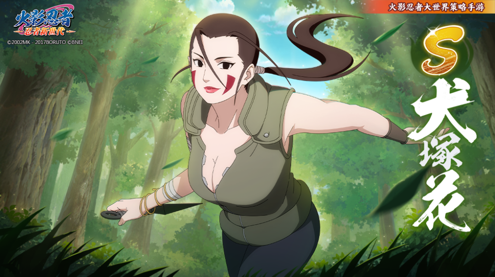 《火影忍者:忍者新世代》一族引以为傲的才女,非常聪明沉着!S忍犬塚花登场!