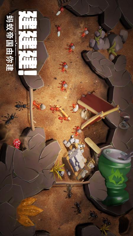 蚁族崛起