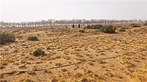 无尽的拉格朗日2