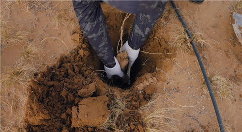 无尽的拉格朗日4